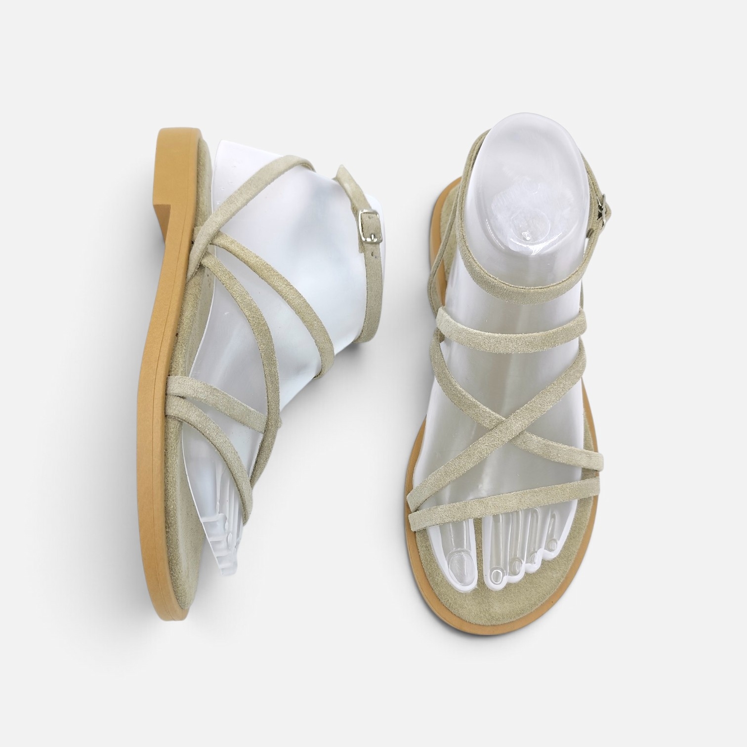 Artemis Anatomic